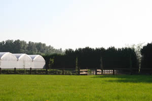 Hardhouten weideafrastering